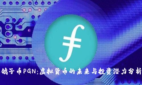 鸽子币PGN：虚拟货币的未来与投资潜力分析