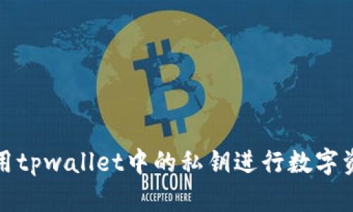 如何使用tpwallet中的私钥进行数字资产管理