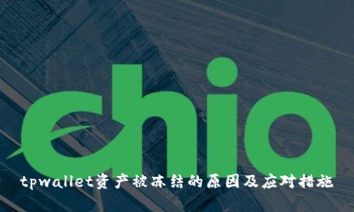 tpwallet资产被冻结的原因及应对措施