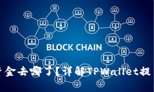 tpwallet提币后资金去哪了？详解TPWallet提币流程与常见问题