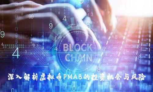 深入解析虚拟币PMAB的投资机会与风险