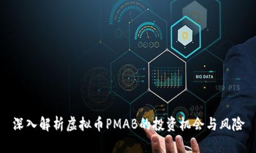 深入解析虚拟币PMAB的投资机会与风险