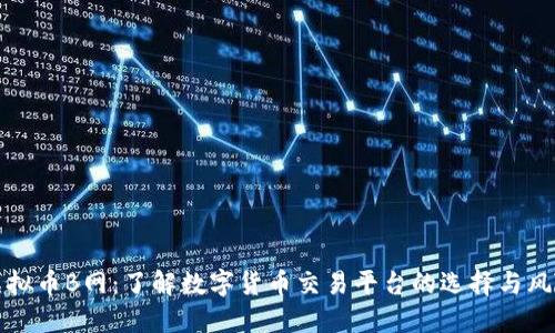 虚拟币B网：了解数字货币交易平台的选择与风险