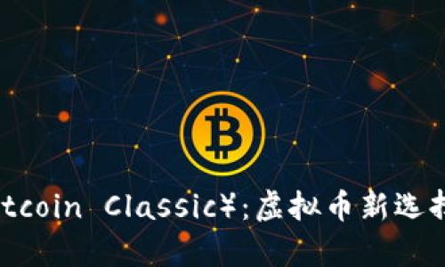 比特经典（Bitcoin Classic）：虚拟币新选择的全面解析