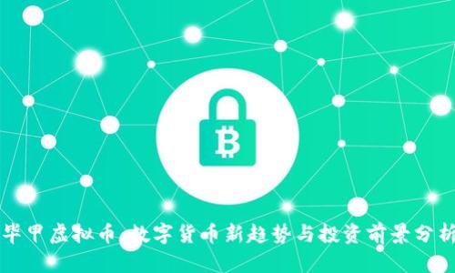 毕甲虚拟币：数字货币新趋势与投资前景分析