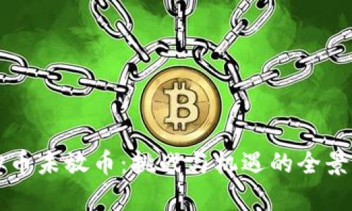 虚拟币未放币：挑战与机遇的全景分析