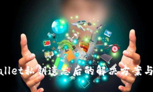 tpwallet私钥遗忘后的解决方案与咨询