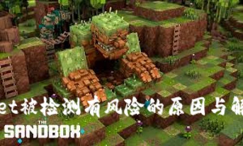 TPWallet被检测有风险的原因与解决方案