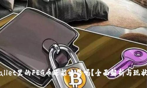 TPWallet里的FEG币还能出售吗？全面解析与现状分析