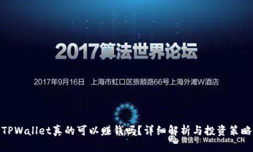 TPWallet真的可以赚钱吗？详细解析与投资策略