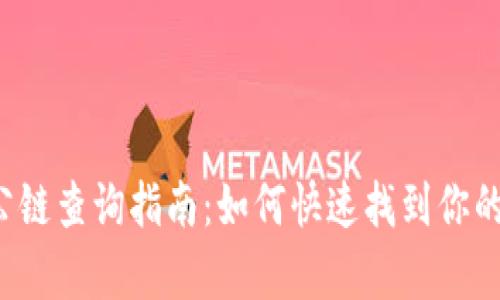  tpwallet公链查询指南：如何快速找到你的资产和信息