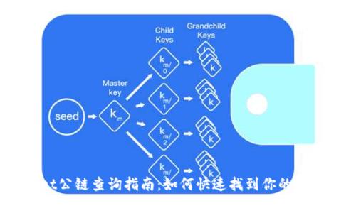  tpwallet公链查询指南：如何快速找到你的资产和信息
