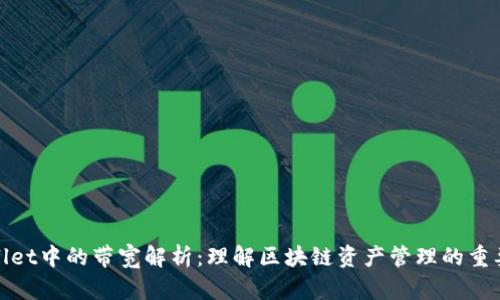 TPWallet中的带宽解析：理解区块链资产管理的重要概念