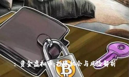 : 资金虚拟币：投资机会与风险解析