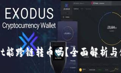 TPWallet能跨链转币吗？全面解析与使用指南