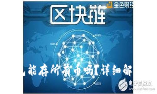 虚拟货币钱包能存所有币吗？详细解析与选择指南