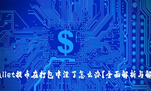 : tpwallet提币在打包中没了怎么办?全面解析与解决方案
