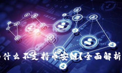 TPWallet为什么不支持币安链？全面解析与用户建议