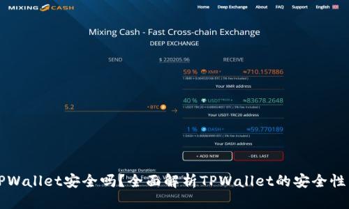 轻松下载TPWallet安全吗？全面解析TPWallet的安全性与使用指南