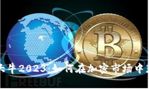 虚拟币大牛2023：如何在加密市场中获得成功