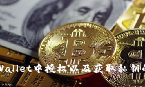 如何在TPWallet中授权以及获取私钥的详细指南
