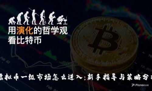 虚拟币一级市场怎么进入：新手指导与策略分析
