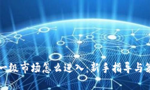 虚拟币一级市场怎么进入：新手指导与策略分析