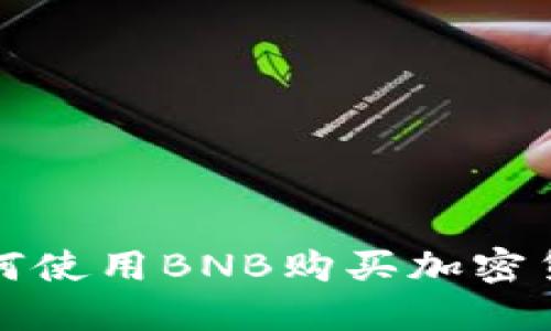 在TP钱包中如何使用BNB购买加密货币的详细指南