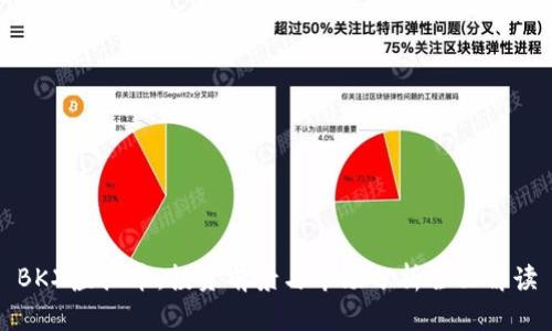 BKX虚拟币：投资前景与市场分析全面解读