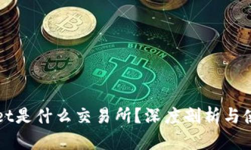 TPWallet是什么交易所？深度剖析与使用指南