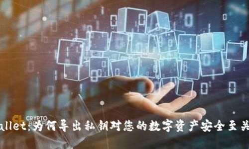 TPWallet：为何导出私钥对您的数字资产安全至关重要