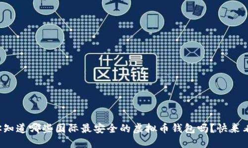 你知道哪些国际最安全的虚拟币钱包吗？快来看！