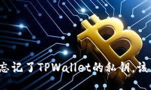 如果你忘记了TPWallet的私钥，该怎么办？