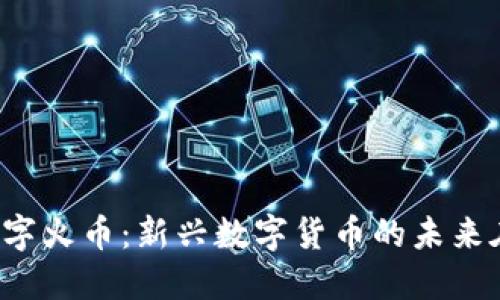 虚拟数字火币：新兴数字货币的未来在哪里？