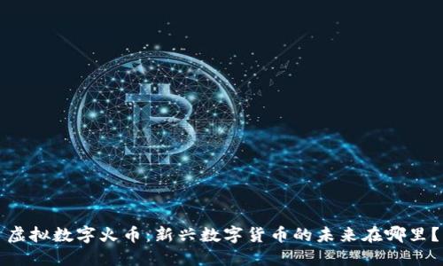虚拟数字火币：新兴数字货币的未来在哪里？