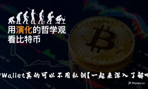 TPWallet真的可以不用私钥？一起来深入了解吧！