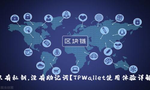 “只有私钥，没有助记词？TPWallet使用体验详解！”