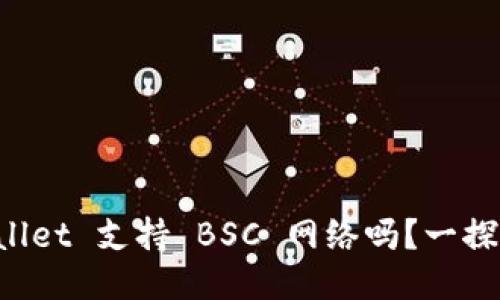 TPWallet 支持 BSC 网络吗？一探究竟！