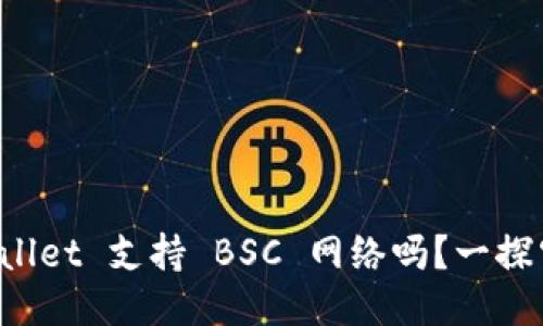 TPWallet 支持 BSC 网络吗？一探究竟！