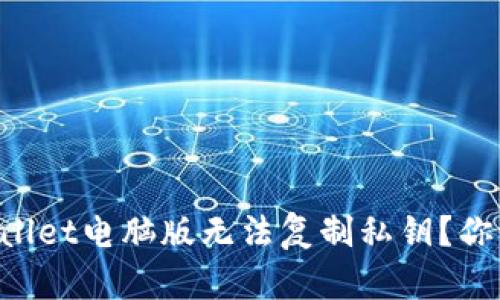 为什么TPWallet电脑版无法复制私钥？你该如何应对？