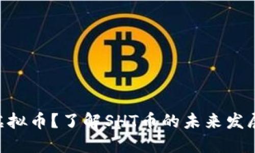 什么是SHT虚拟币？了解SHT币的未来发展和投资潜力