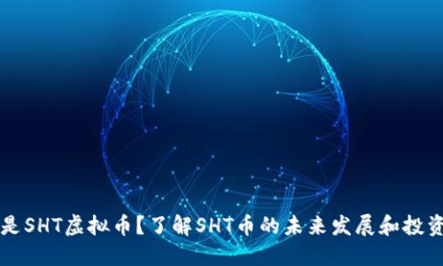 什么是SHT虚拟币？了解SHT币的未来发展和投资潜力