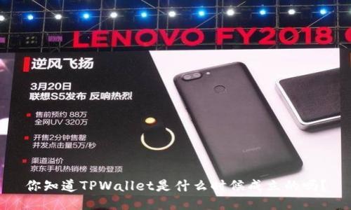 你知道TPWallet是什么时候成立的吗？
