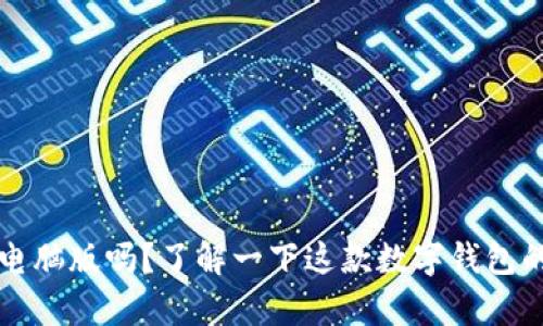 TPWallet有电脑版吗？了解一下这款数字钱包的多平台支持