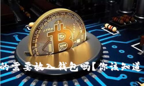 虚拟币真的需要放入钱包吗？你该知道的关键点！