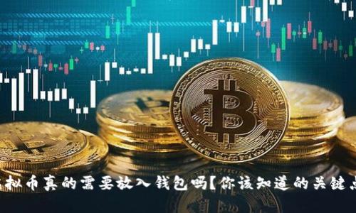 虚拟币真的需要放入钱包吗？你该知道的关键点！