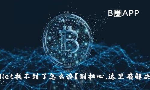 tpwallet找不到了怎么办？别担心，这里有解决办法！