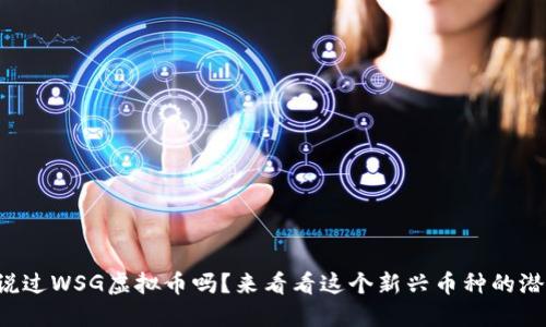 你听说过WSG虚拟币吗？来看看这个新兴币种的潜力吧！