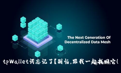 tpWallet词忘记了？别怕，跟我一起找回它！