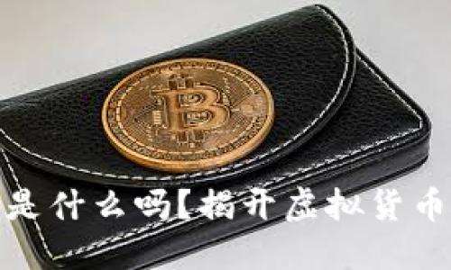 你知道骚币是什么吗？揭开虚拟货币的神秘面纱